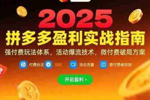 （15357期）拼多多盈利实战指南，强付费玩法，活动爆流技术，微付费破局方案(更新7月)