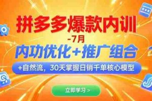 （15402期）拼多多爆款内训-7月 内功优化+推广组合+自然流 30天掌握日销千单核心模型