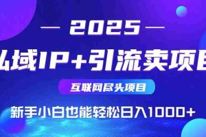 （15531期）2025网创尽头项目，私域IP+引流，新手小白也能在家日入1000+