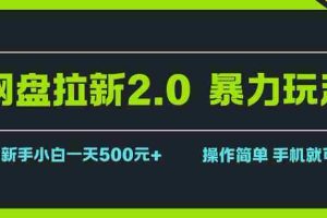 （15759期）网盘拉新2.0，暴力玩法，新手小白一天轻松500，操作简单