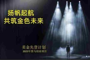 （15748期）美金对冲创业项目，日收益1000-3000，小众暴力项目稳定运行8年