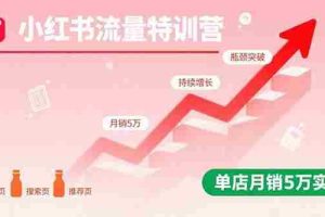 （15936期）小红书流量特训营：突破流量瓶颈，实现店铺持续增长，单店月销5万实战