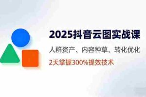 （16063期）2025抖音云图实战课，人群资产、内容种草、转化优化，2天掌握300%提效技术