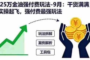 （16202期）2025万金油强付费玩法-9月：干货满满，全程实操起飞，强付费最强玩法