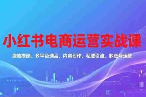 （16695期）小红书电商运营实战课，店铺搭建、多平台选品、内容创作、私域引流、多账号运营等玩法