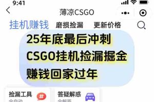 （16735期）12月年底抓紧最后一个月，用CSGO游戏挂机捡漏掘金赚钱掘金，一部手机轻松日入500+
