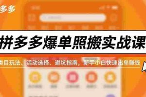 （16838期）拼多多爆单照搬实战课，类目玩法、活动选择、避坑指南，新手小白快速出单赚钱