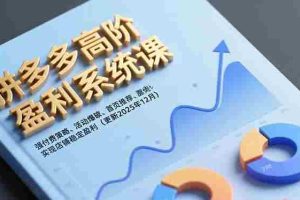 （16843期）拼多多高阶盈利系统课，强付费策略、活动爆破、首页推荐，实现店铺稳定盈利（更新12月）